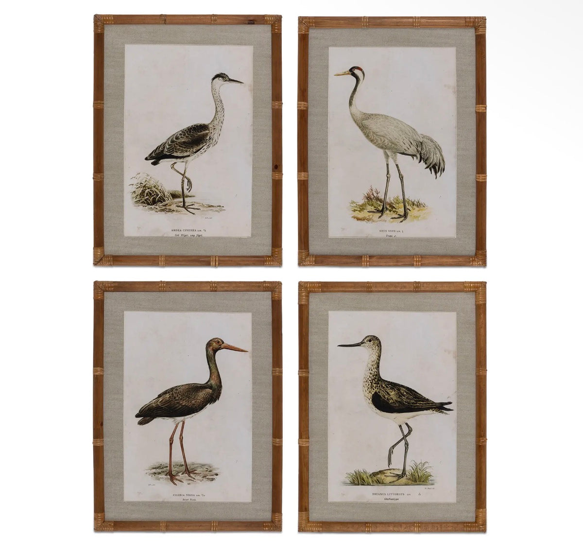 Wading Bird Prints, Set of 4