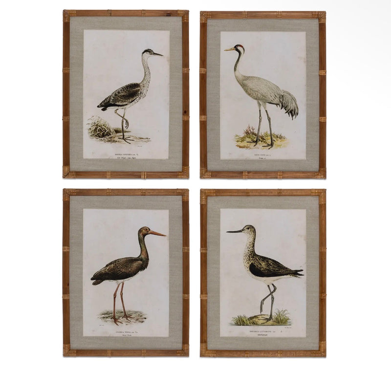 Wading Bird Prints, Set of 4